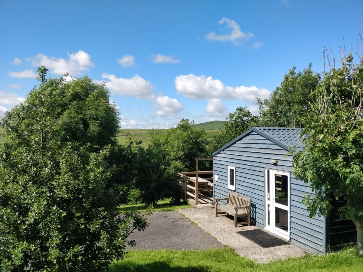 4 Bedroom Holiday Lodge In Welsh Hillside Woodland Llandrindod Wells Kültér fotó